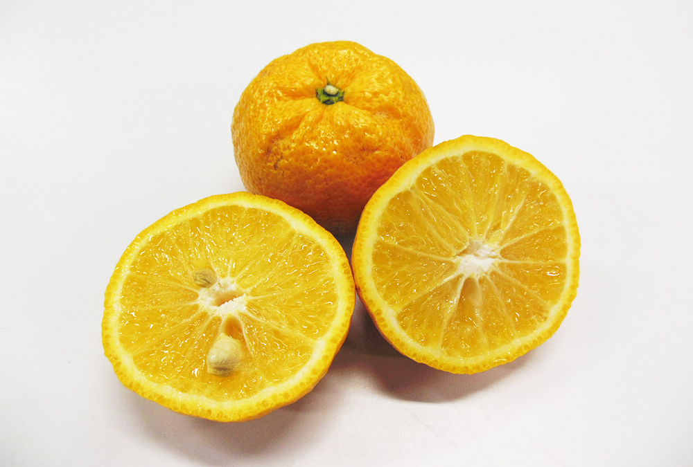 果实 (MAFF, Japan)