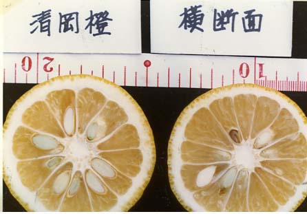 果实 (MAFF, Japan)