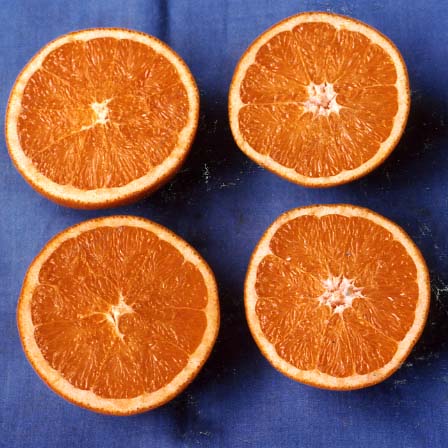 果实 (MAFF, Japan)