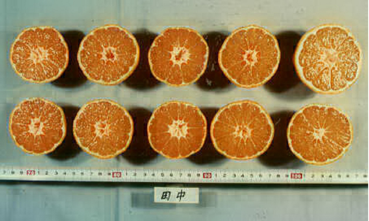 果实 (MAFF, Japan)