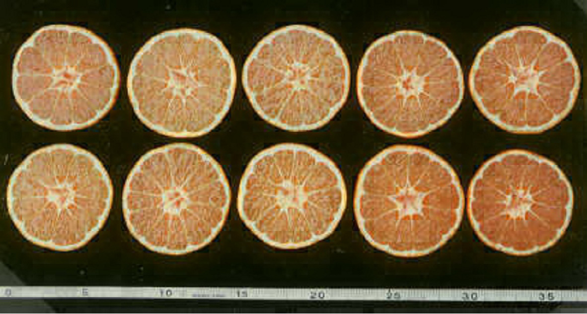 果实 (MAFF, Japan)