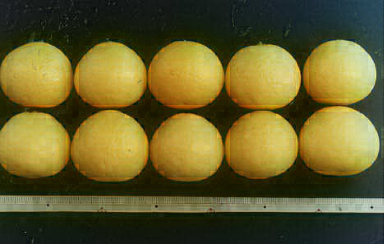 树体 (MAFF, Japan)