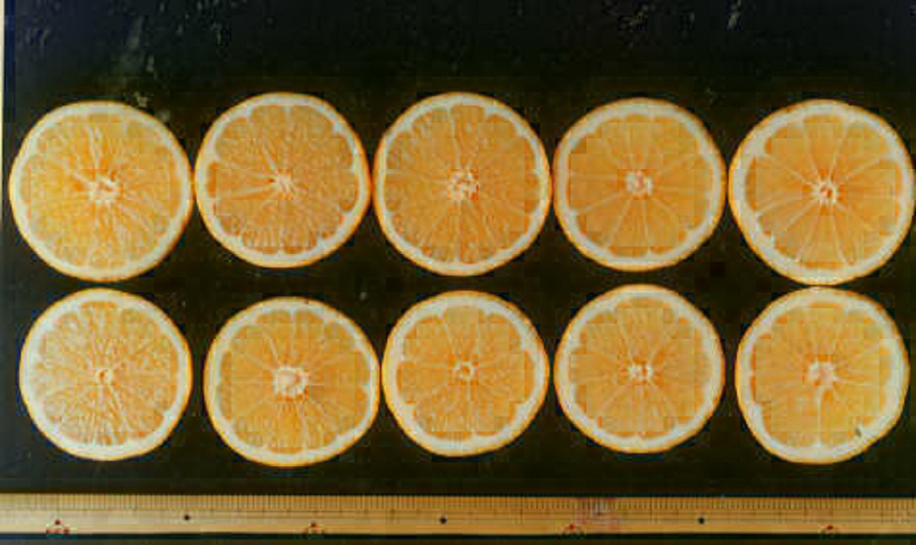 果实 (MAFF, Japan)