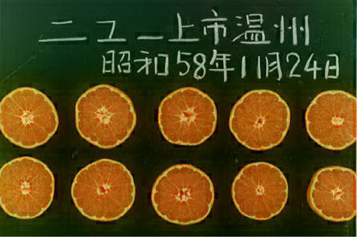 果实 (MAFF, Japan)