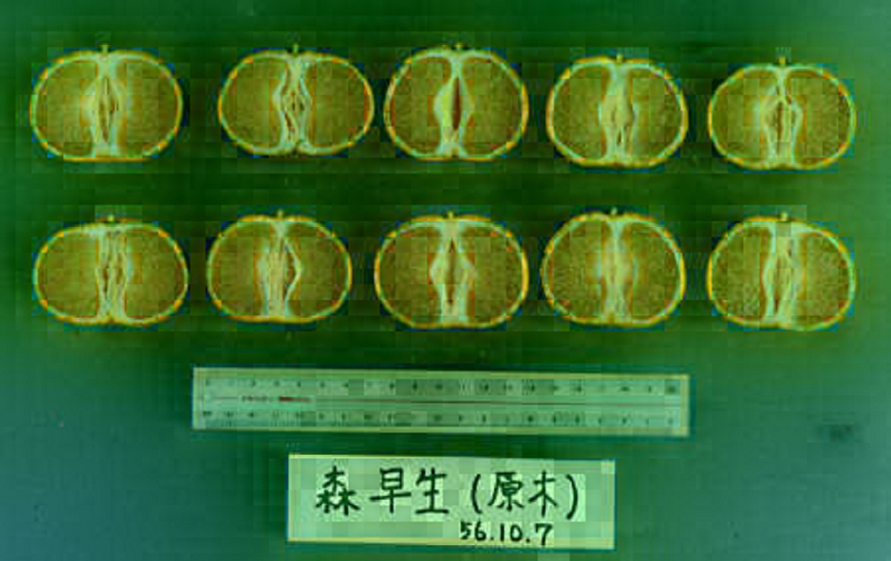 果实 (MAFF, Japan)