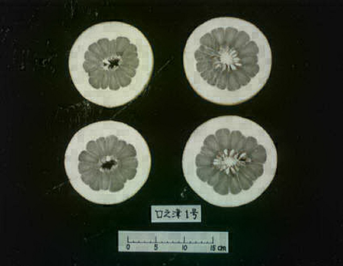 果实 (MAFF, Japan)