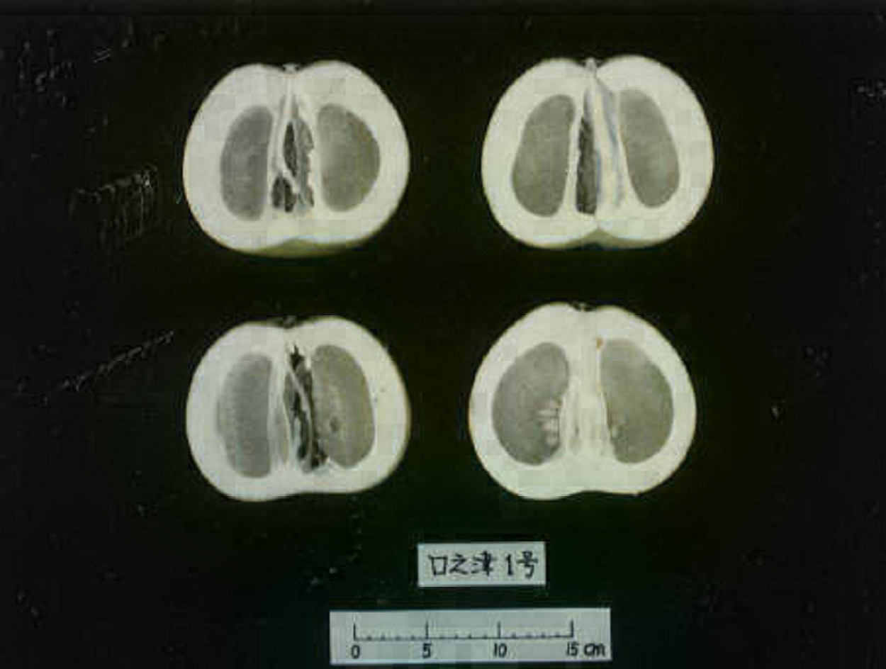 果实 (MAFF, Japan)