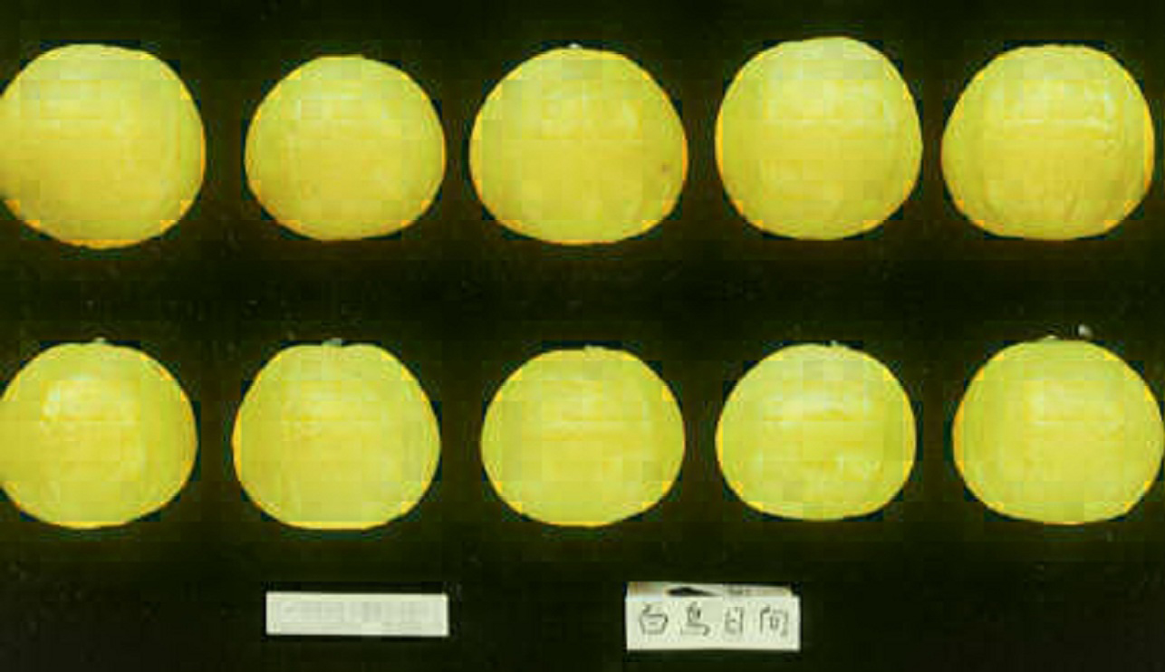 树体 (MAFF, Japan)