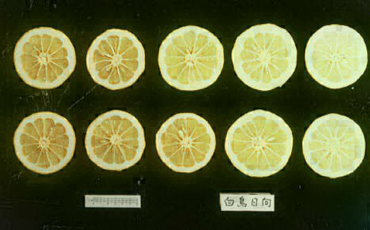 果实 (MAFF, Japan)