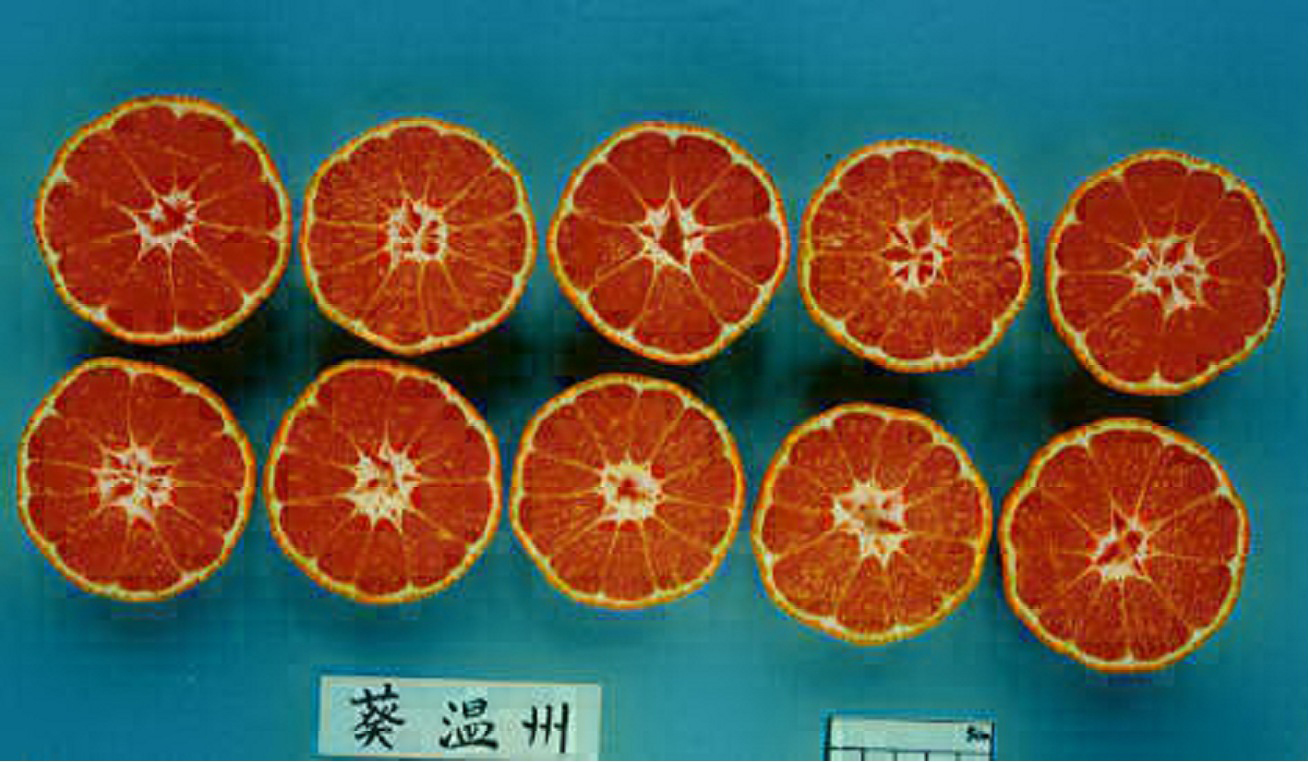 果实 (MAFF, Japan)