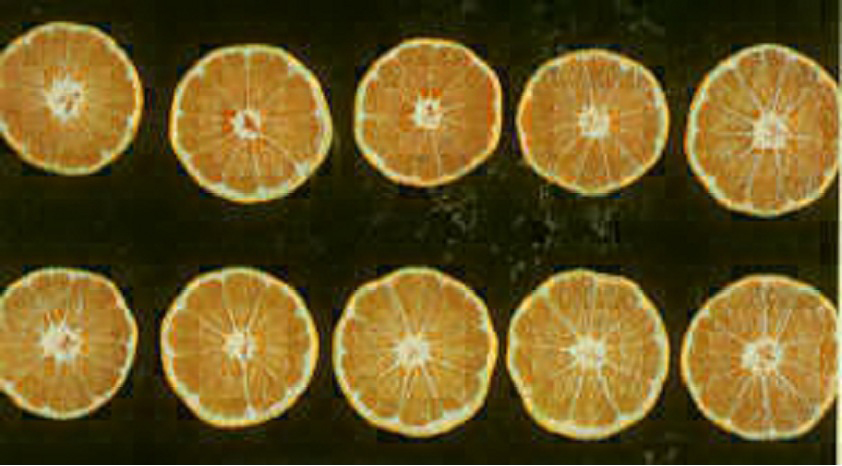 果实 (MAFF, Japan)