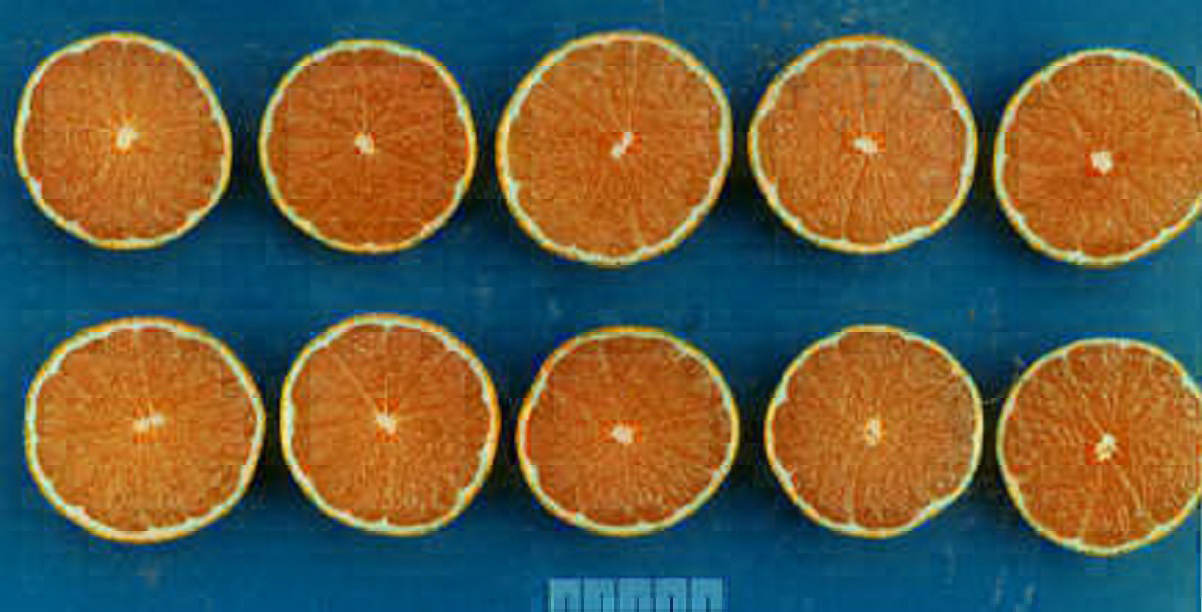 果实 (MAFF, Japan)