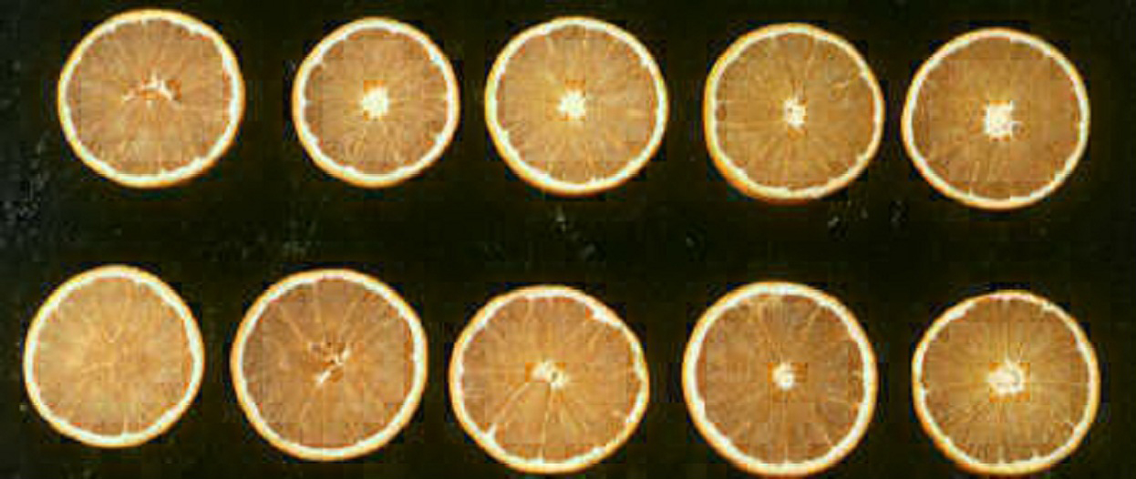 果实 (MAFF, Japan)