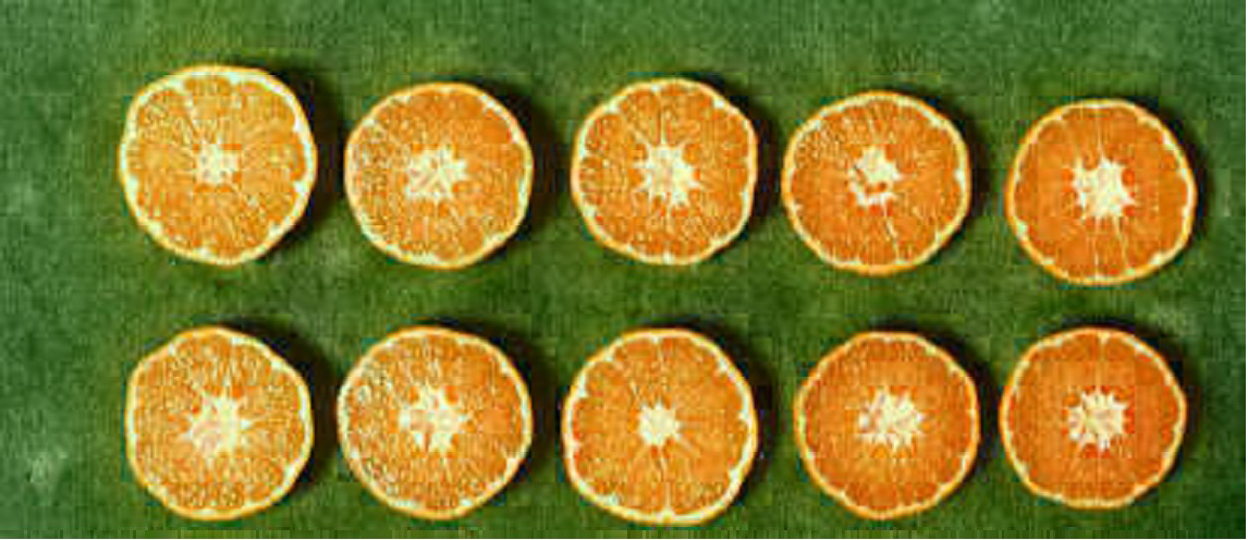 果实 (MAFF, Japan)