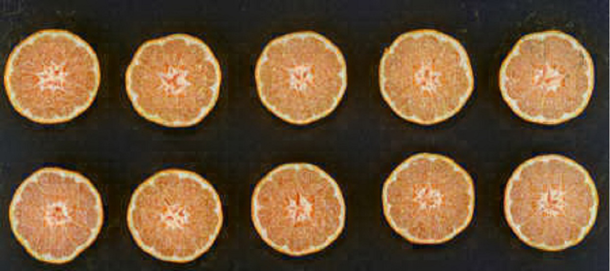 果实 (MAFF, Japan)