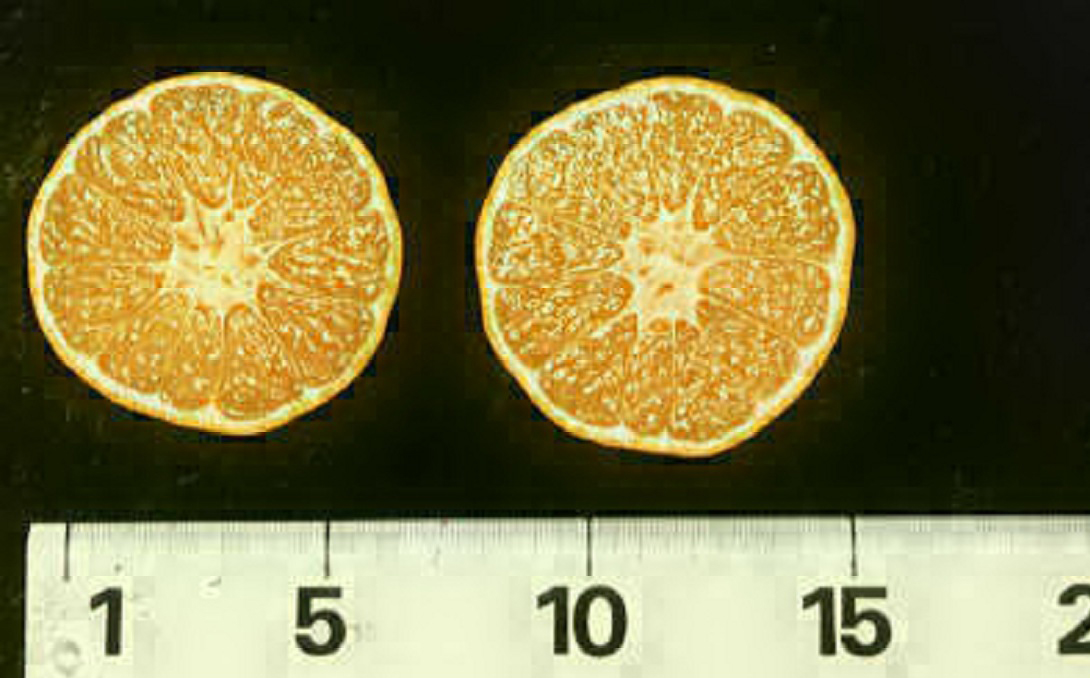 果实 (MAFF, Japan)