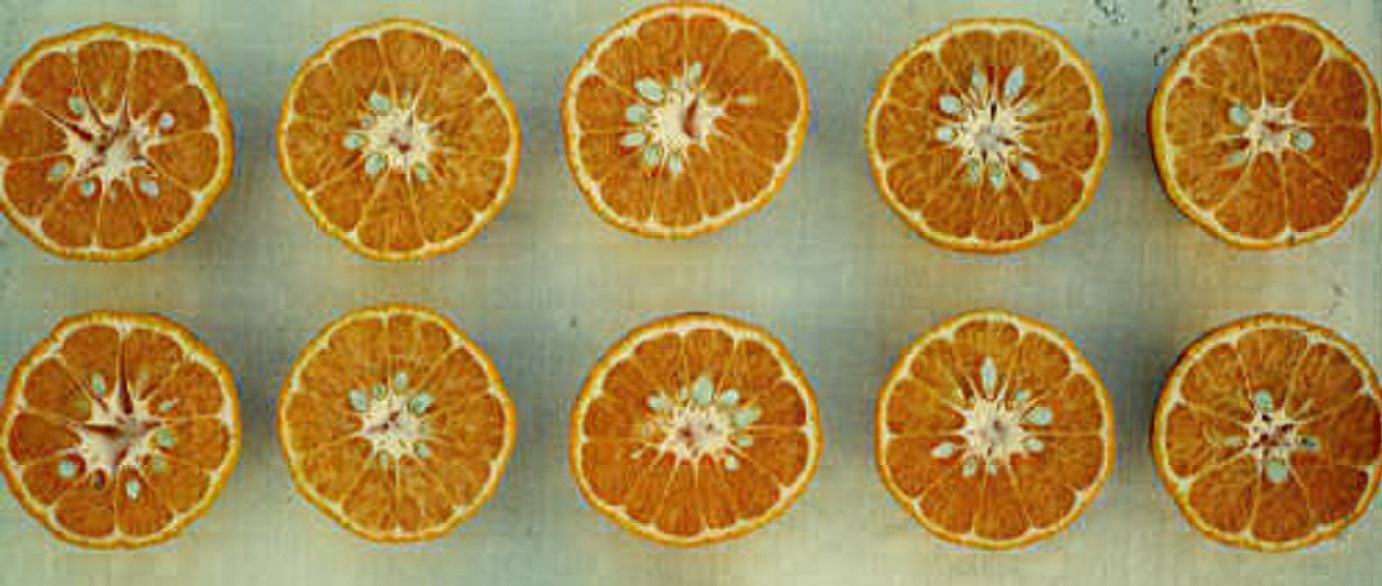 果实 (MAFF, Japan)