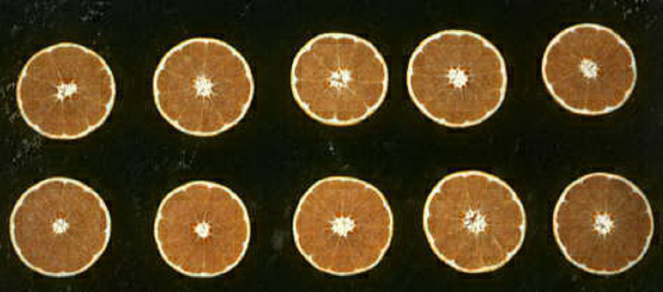 果实 (MAFF, Japan)