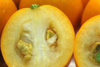 果实 (MAFF, Japan)