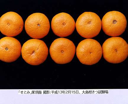 果实 (MAFF, Japan)