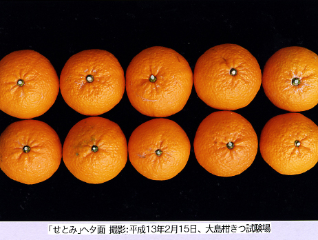 果实 (MAFF, Japan)