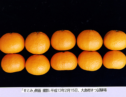 果实 (MAFF, Japan)