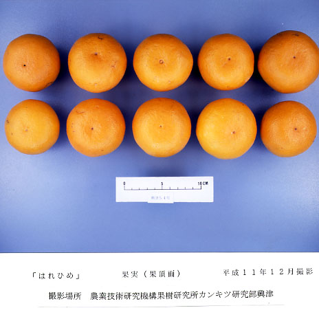 果实 (MAFF, Japan)