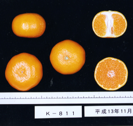 果实 (MAFF, Japan)