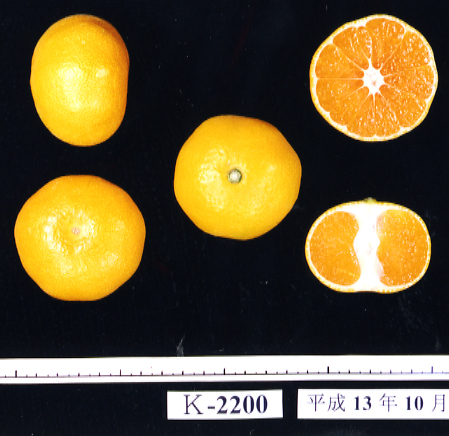 果实 (MAFF, Japan)