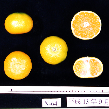 果实 (MAFF, Japan)