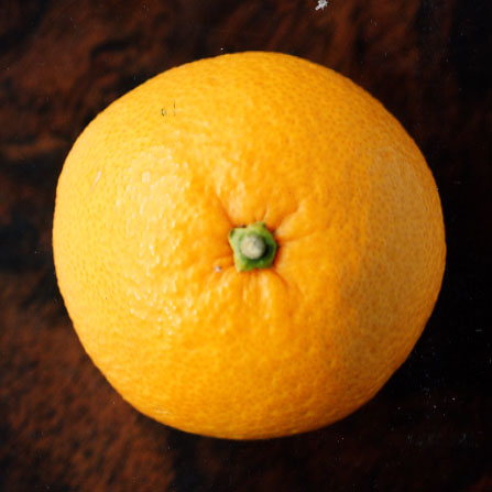 果实 (MAFF, Japan)