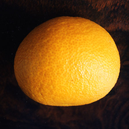 果实 (MAFF, Japan)