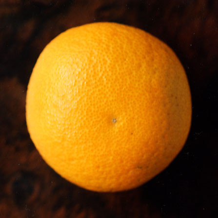 果实 (MAFF, Japan)