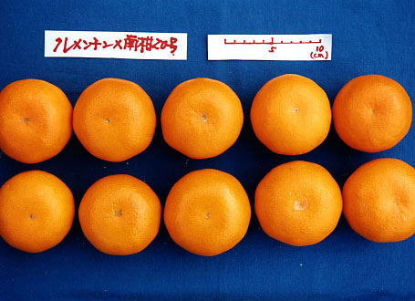 果实 (MAFF, Japan)