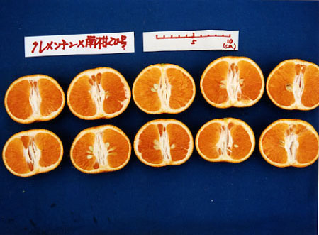 果实 (MAFF, Japan)