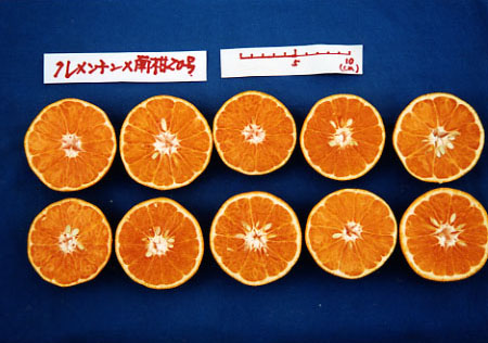 果实 (MAFF, Japan)