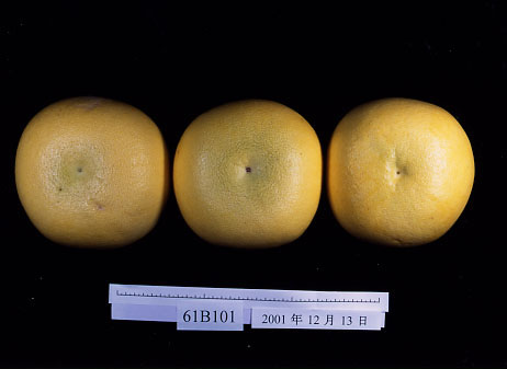 果实 (MAFF, Japan)