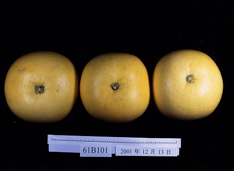 果实 (MAFF, Japan)