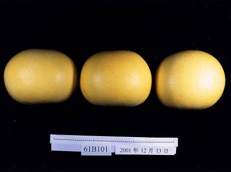 果实 (MAFF, Japan)