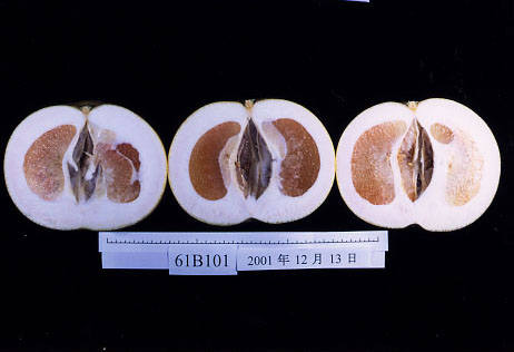 果实 (MAFF, Japan)