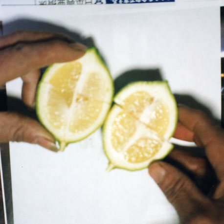 果实 (MAFF, Japan)