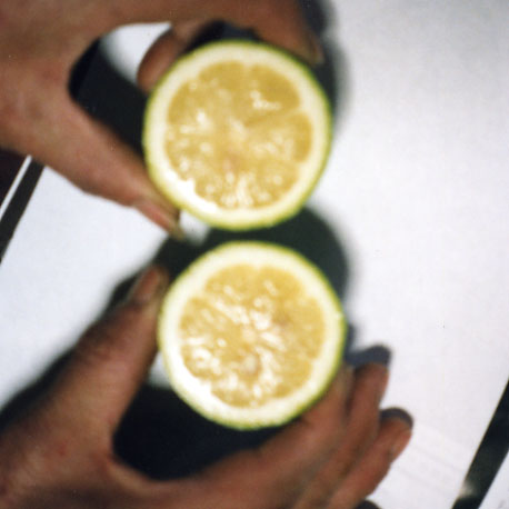 果实 (MAFF, Japan)