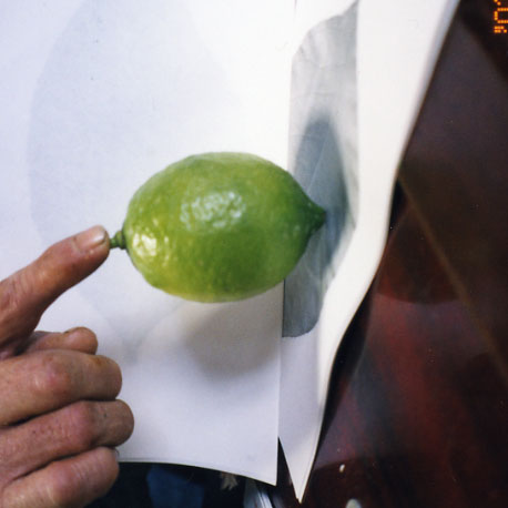 果实 (MAFF, Japan)