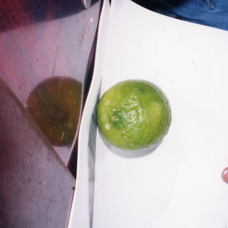 果实 (MAFF, Japan)