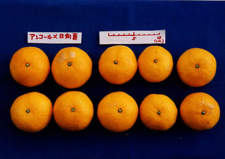 果实 (MAFF, Japan)