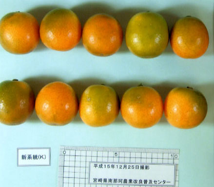 果实 (MAFF, Japan)