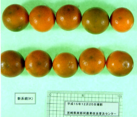 果实 (MAFF, Japan)