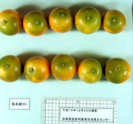 果实 (MAFF, Japan)