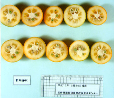 果实 (MAFF, Japan)