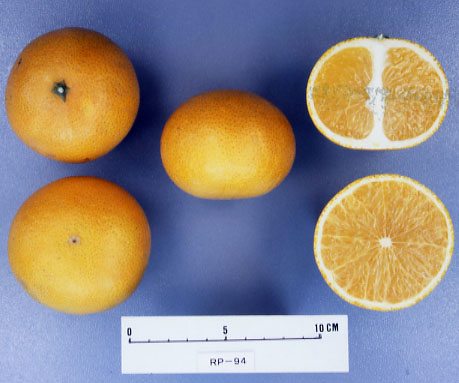 果实 (MAFF, Japan)